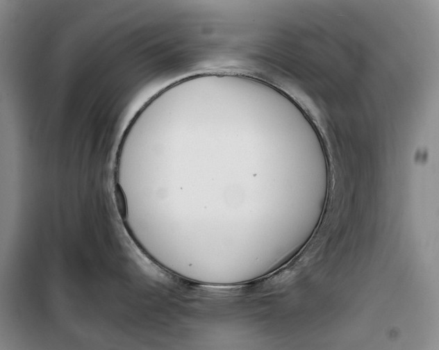 X0000099461344200805301526