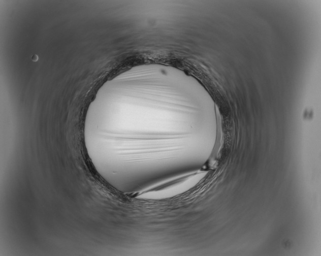 X0000099461345200805301526