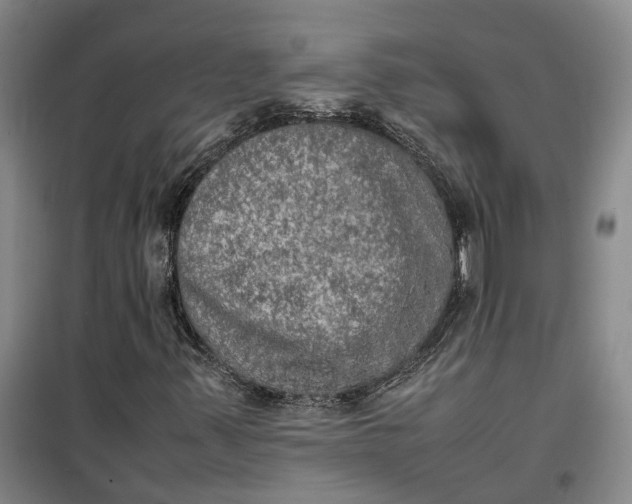 X0000099461347200805301525