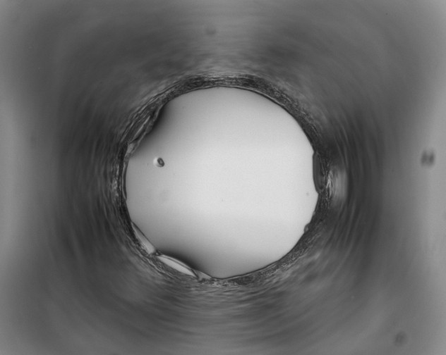 X0000099461348200805301525