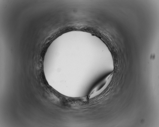 X0000099461349200805301525