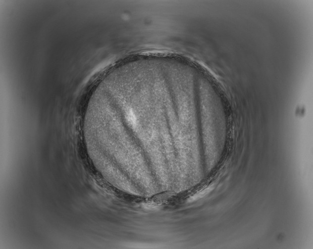 X0000099461351200805301525