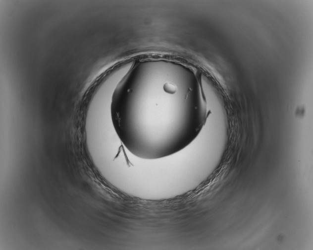 X0000099461352200805301525