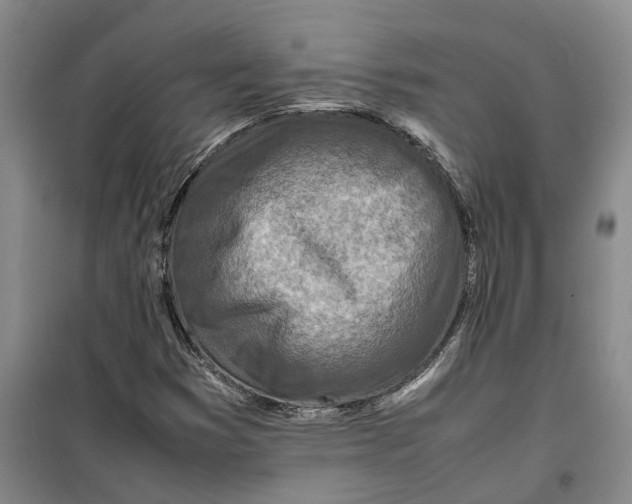 X0000099461353200805301525