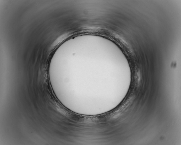 X0000099461354200805301525