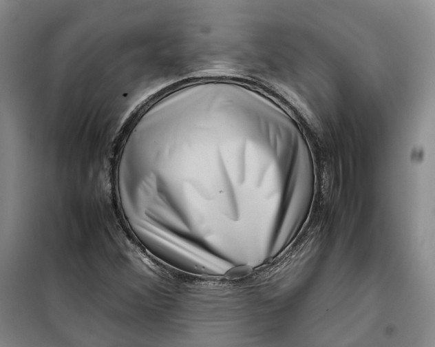 X0000099461356200805301525