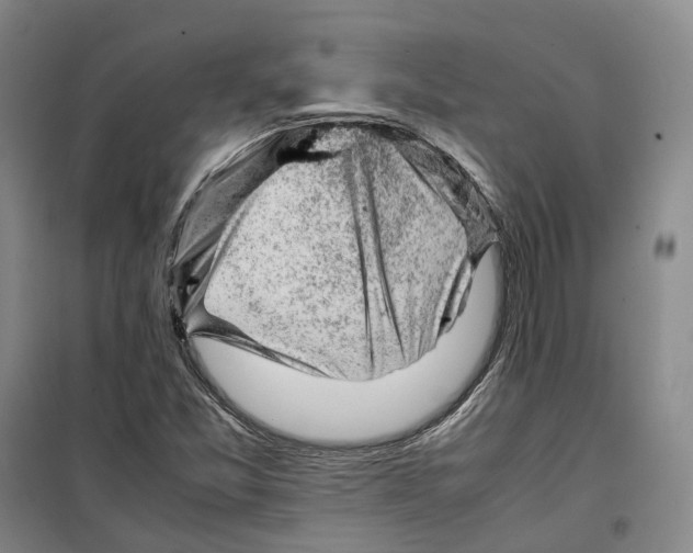 X0000099461357200805301525