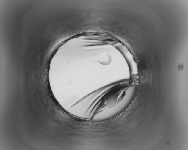 X0000099461359200805301525