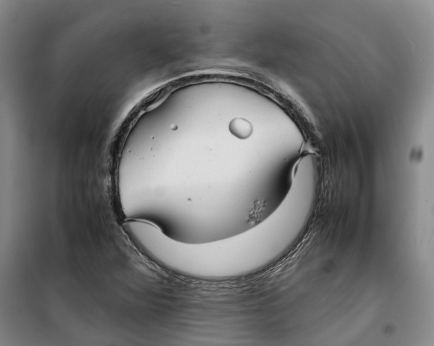 X0000099461360200805301525