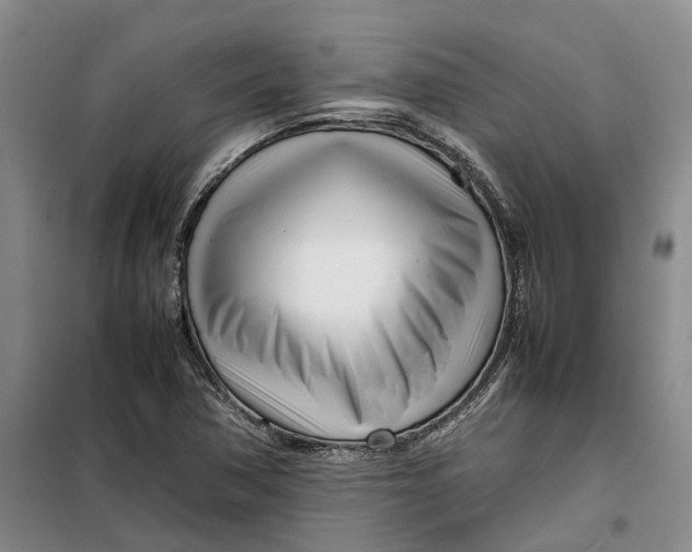 X0000099461362200805301525