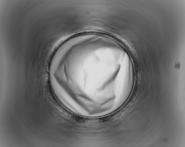 X0000099461363200805301525