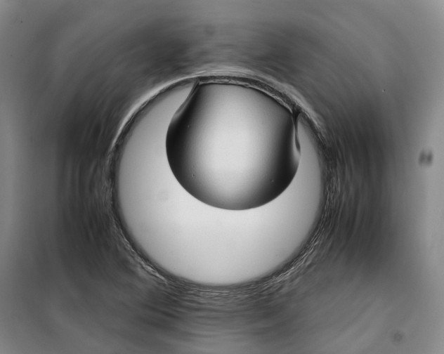 X0000099461364200805301525