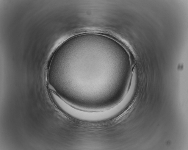 X0000099461365200805301525