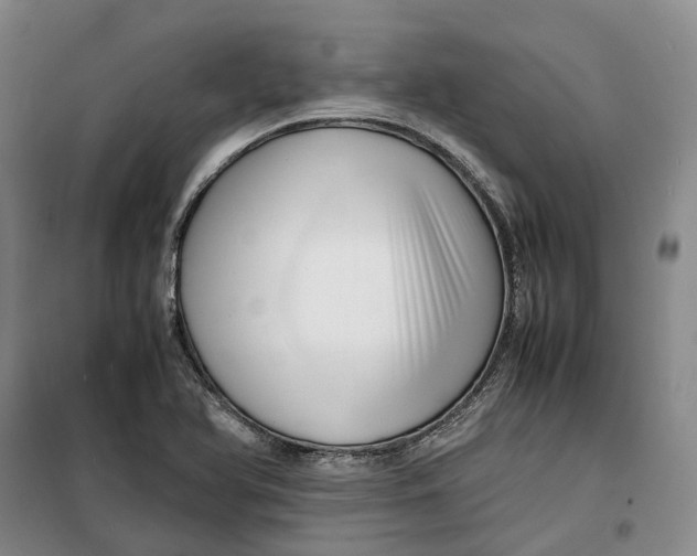 X0000099461366200805301525