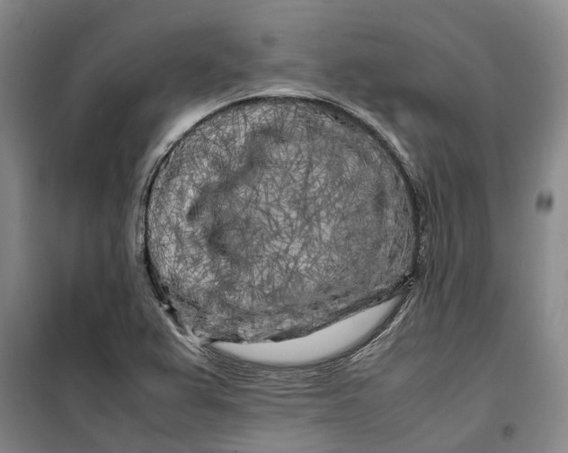 X0000099461367200805301525