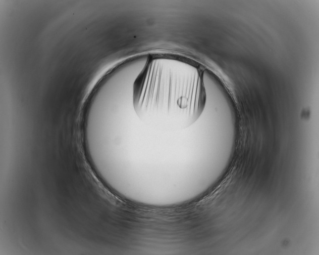 X0000099461368200805301525