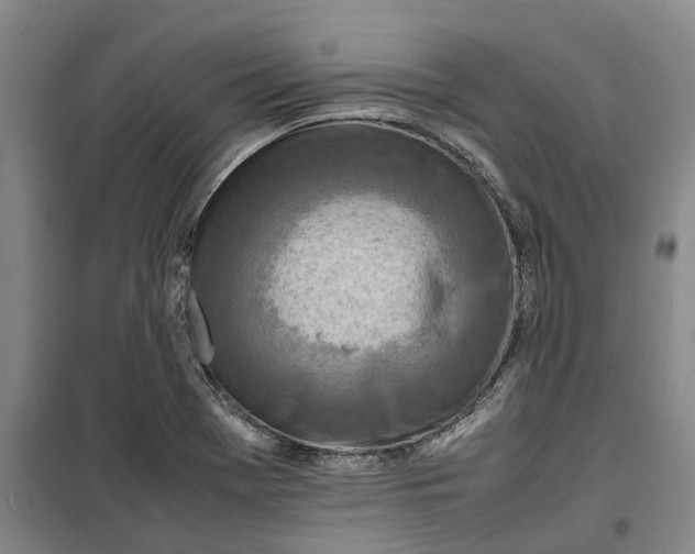 X0000099461369200805301525