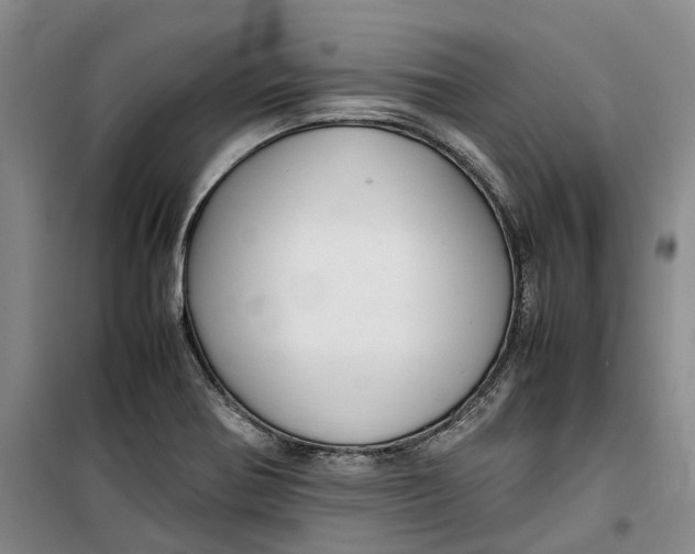 X0000099461370200805301525