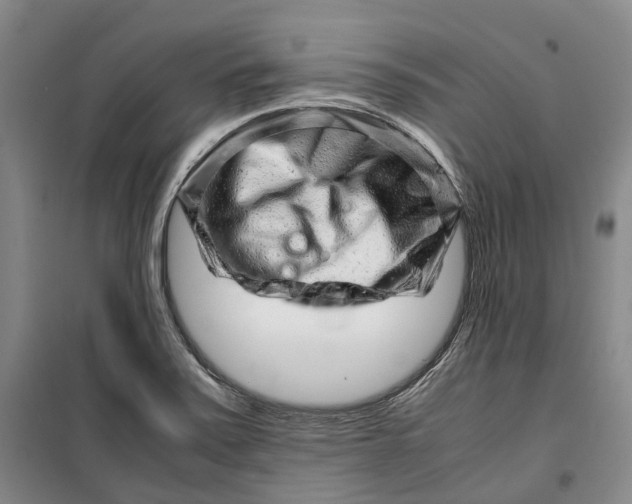 X0000099461371200805301525