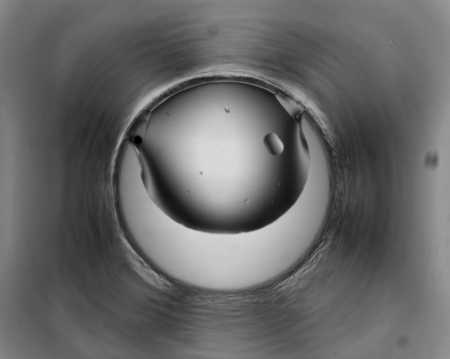 X0000099461372200805301525