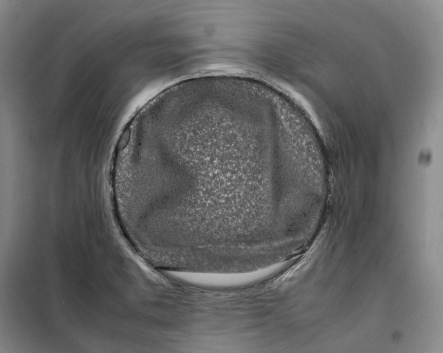 X0000099461373200805301525