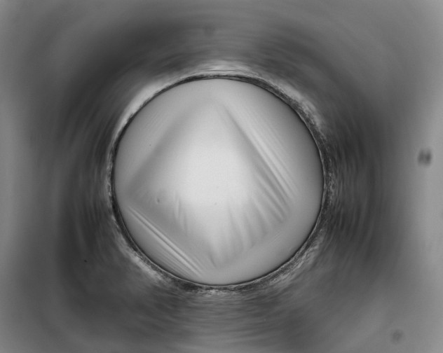 X0000099461374200805301525