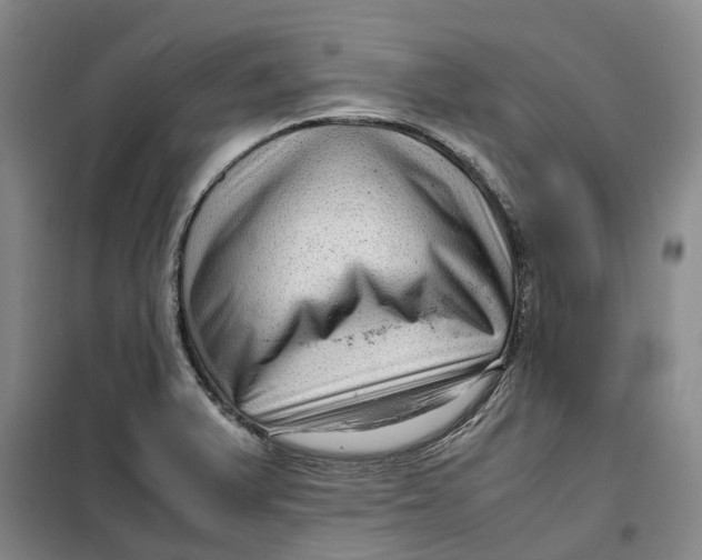 X0000099461375200805301525