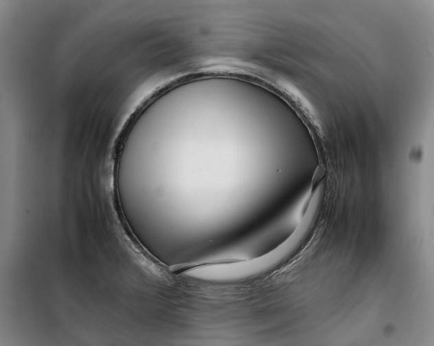 X0000099461376200805301525