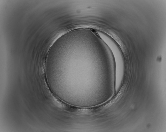 X0000099461377200805301525