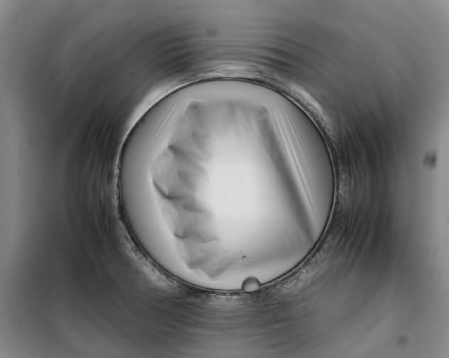 X0000099461378200805301525