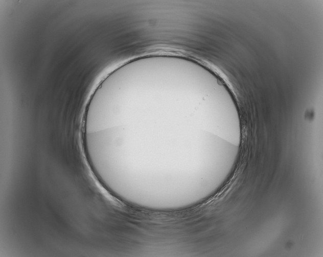 X0000099461379200805301525