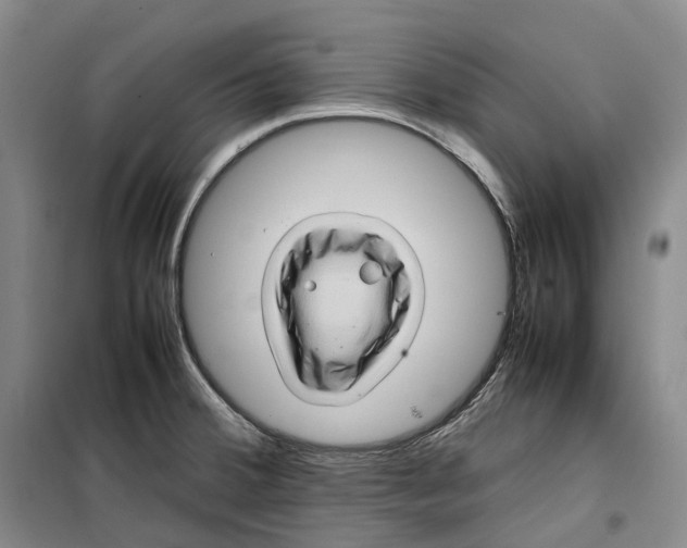 X0000099461380200805301525