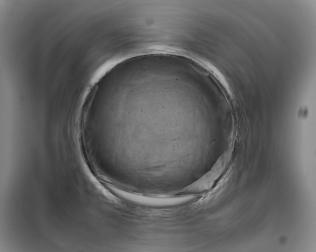 X0000099461381200805301525