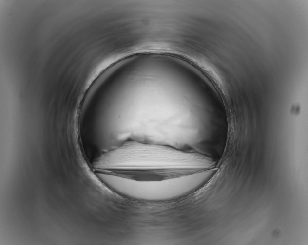 X0000099461382200805301525