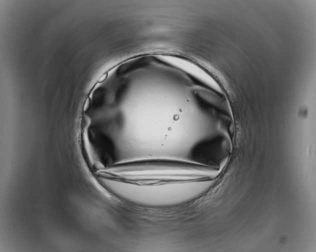 X0000099461383200805301525