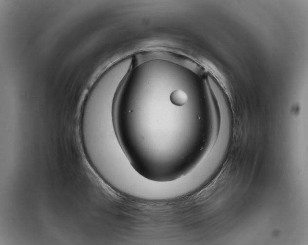 X0000099461384200805301525