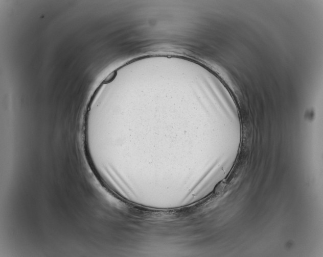 X0000099461387200805301525