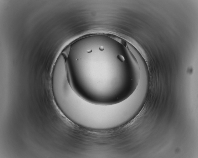 X0000099461388200805301525