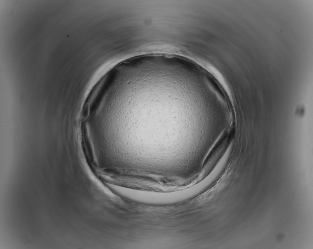 X0000099461389200805301525