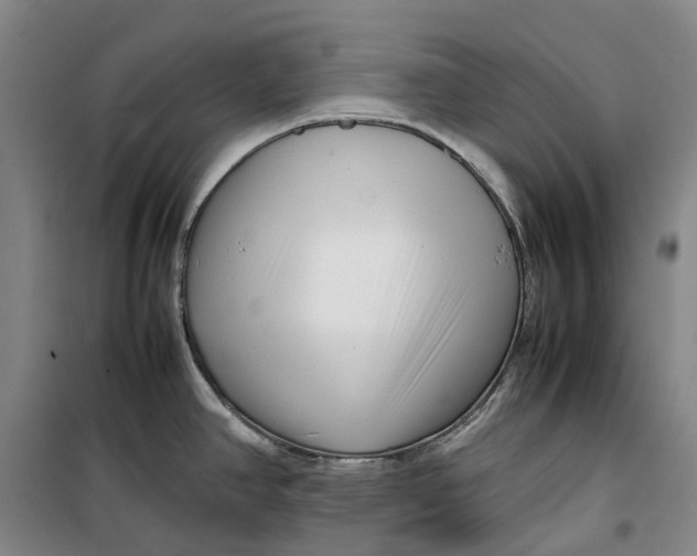 X0000099461390200805301525