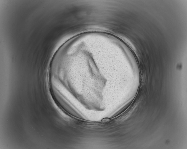 X0000099461391200805301525