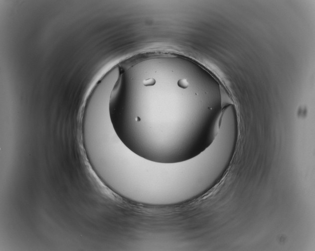 X0000099461392200805301525