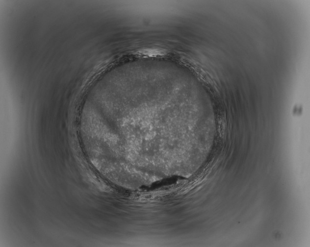 X0000099461393200805301524