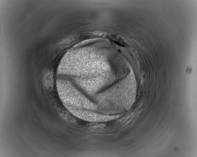 X0000099461394200805301524