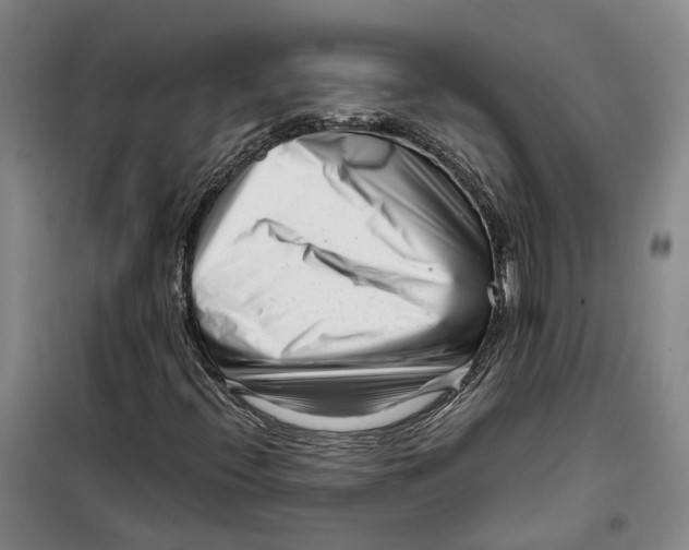 X0000099461396200805301524