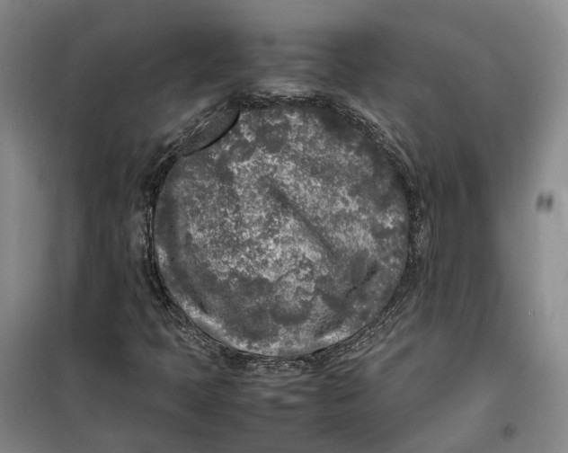 X0000099461397200805301524