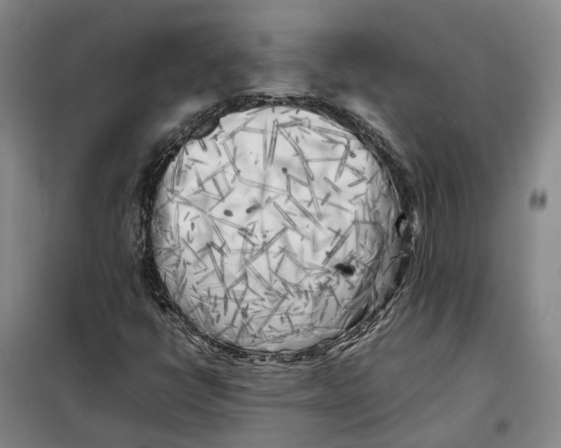 X0000099461398200805301524