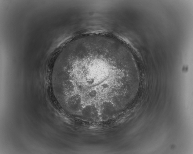 X0000099461399200805301524