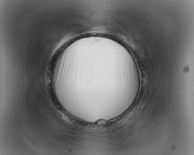 X0000099461400200805301524