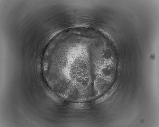 X0000099461401200805301524